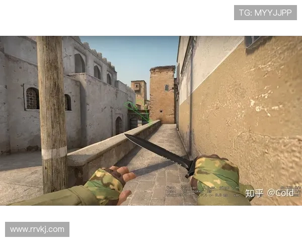 CSGO战术解析：深入探讨BLG团队协作与默契配合的成功之道