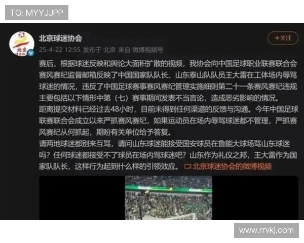 武汉足球队实力大变革引发热议球迷期待新篇章的崛起与挑战